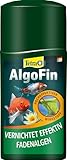 Tetra Pond AlgoFin Teich Algenvernichter - wirkt effektiv bei Fadenalgen, Schwebealgen und Schmieralgen im Gartenteich, 250ml