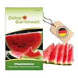 Wassermelonen Sugar Baby Samen - Citrullus lanatus - Wassermelonensamen - Obstsamen - Saatgut für 10 Pflanzen