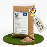 Rohrglanzgras 1kg Phalaris arundinacea Ausdauerndes Obergras mit starker Bewurzelung für feuchte Standorte für Wildäckermischungen und Deckung Ausreichend für 1.000 m²