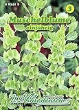N.L. Chrestensen 583415 Muschelblume (Blumensamen)