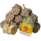 dobar® 22690e Schilfrohrhalme-Set 1.000 STK - Insektenhotel Bastelset - Schilfrohhalme für Wildbienenhotels - Wildbienennisthilfe aus Schilfhalmen inkl. Wildblumensamen - 9cm